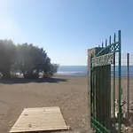 Nicholas Waves