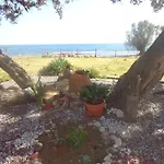 Nicholas Waves