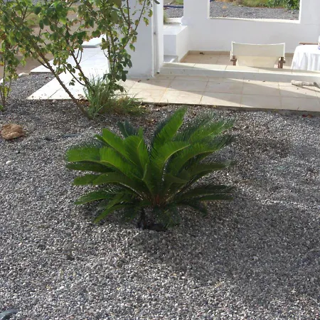 Nicholas Waves Lardos