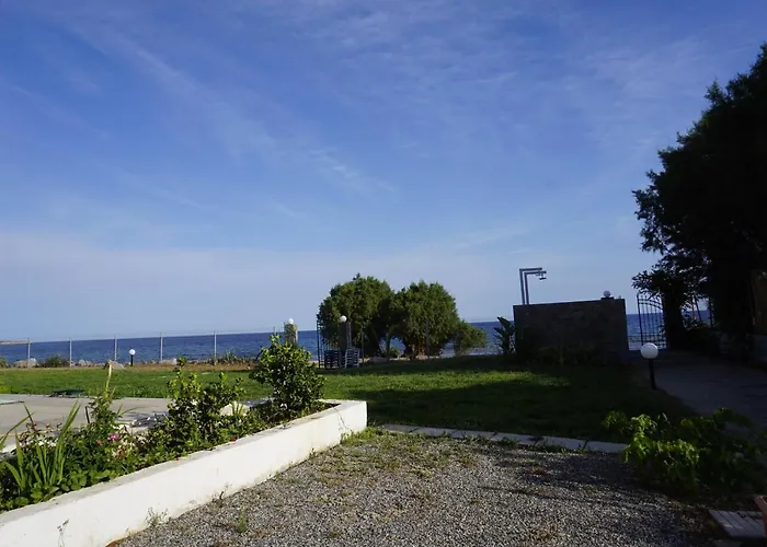 Nicholas Waves لاردوس