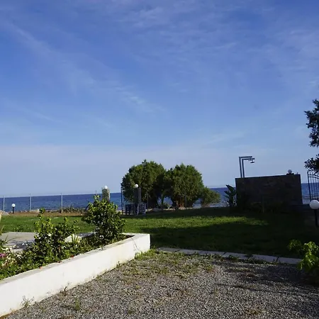 Nicholas Waves Lardos