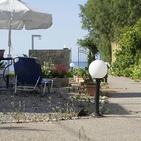 Daire Nicholas Waves Lardos