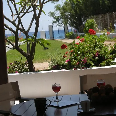 Nicholas Waves Daire