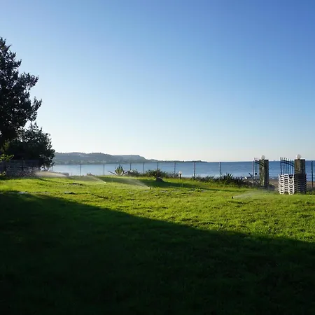 Nicholas Waves Daire *