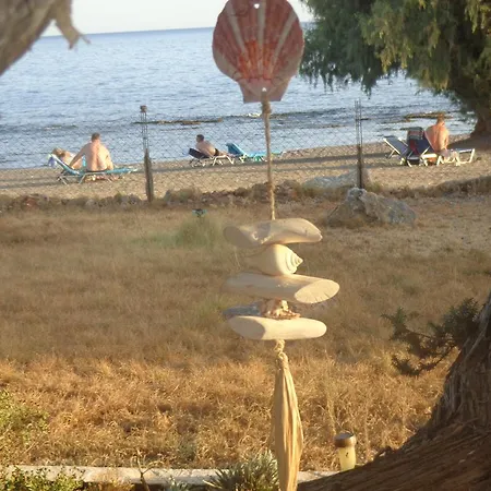 Daire Nicholas Waves *