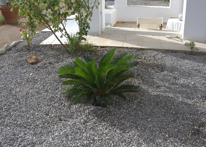 Nicholas Waves לרדוס